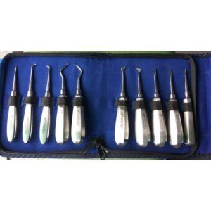 API Root Elevator Dental Instrument Kit, Set of 10 pcs (Stainless Steel)
